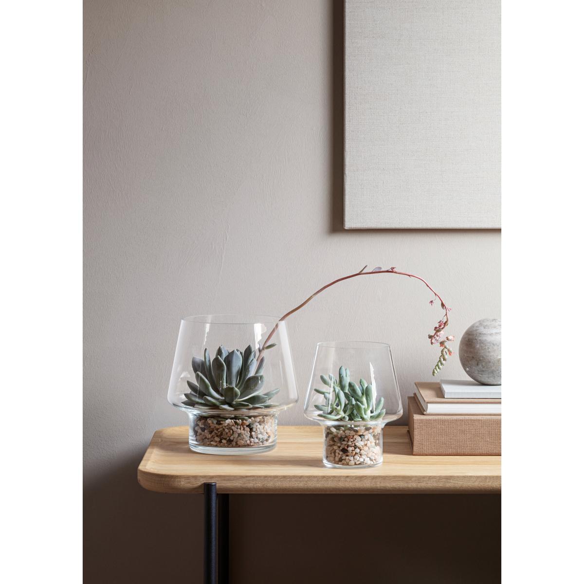 Small Vase - / For succulents - Ø 15 cm by Eva Solo Transparent – image 4