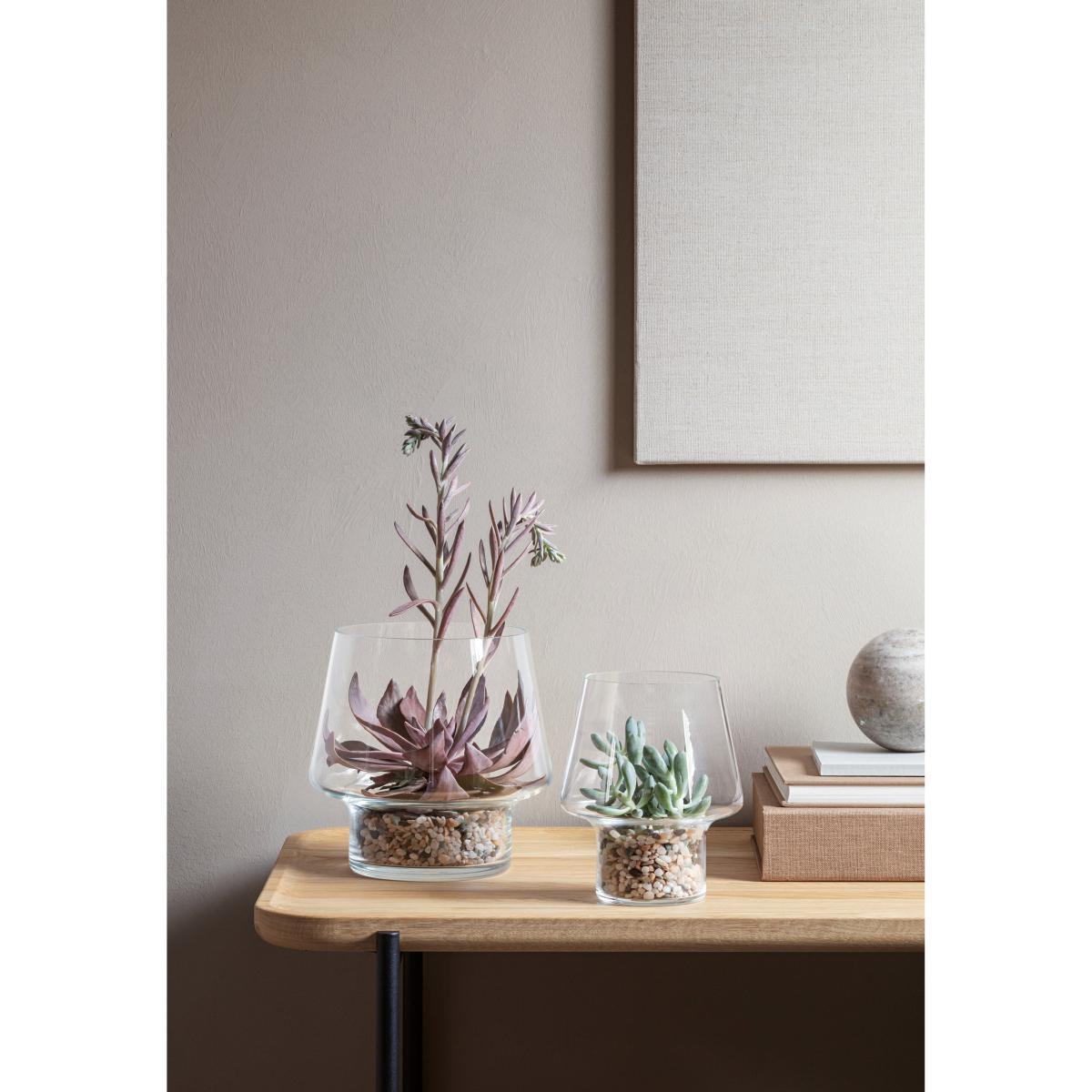 Small Vase - / For succulents - Ø 15 cm by Eva Solo Transparent – image 5
