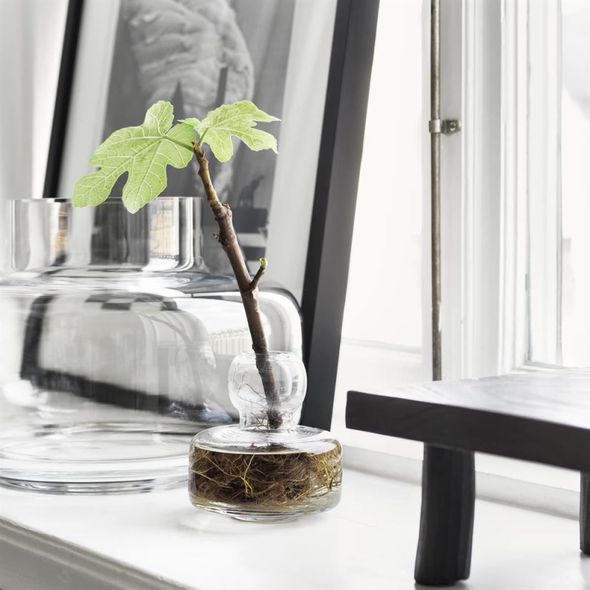 Flower vase glass – image 4