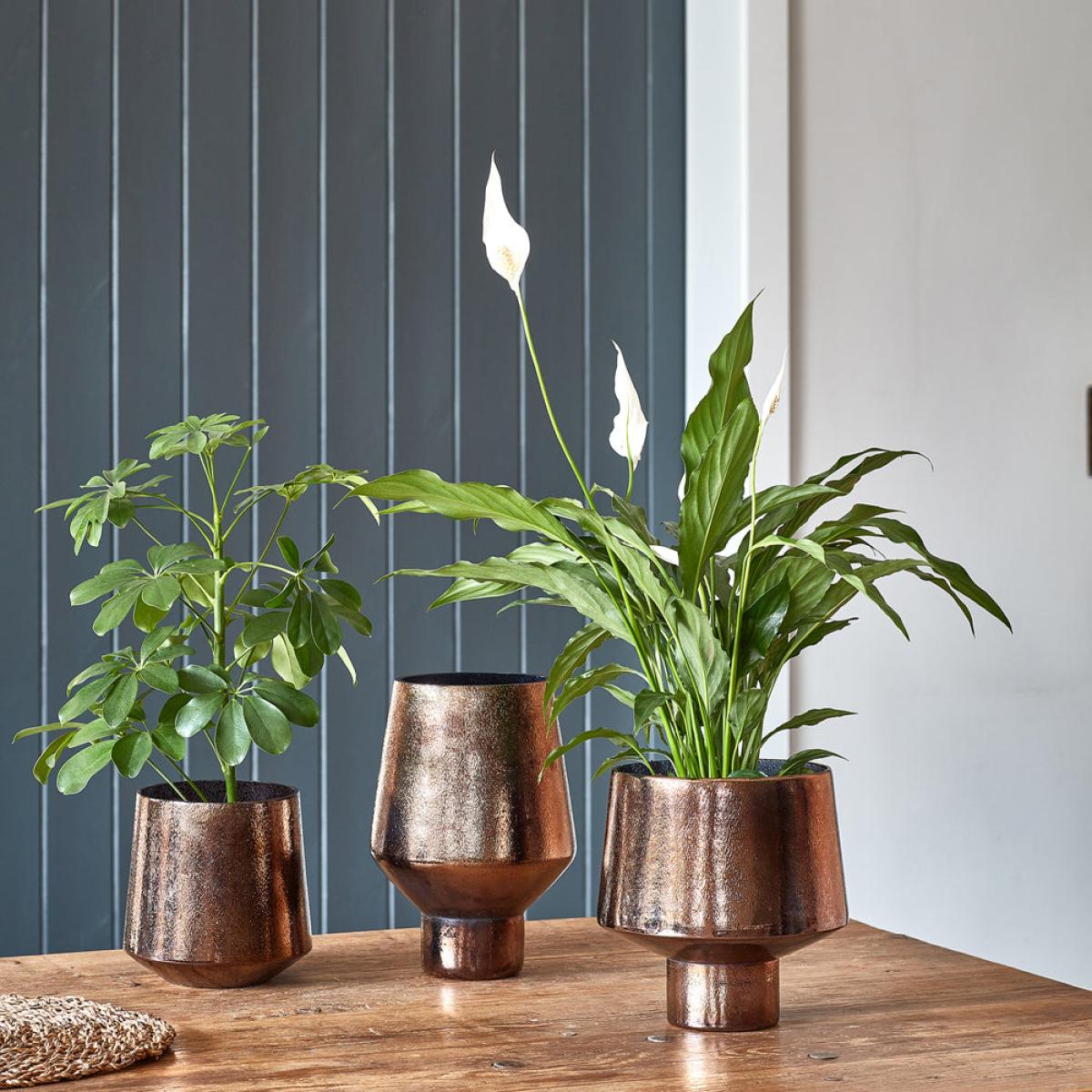 Ivyline Opulent Tall Curved Vase in Metallic Bronze – image 6