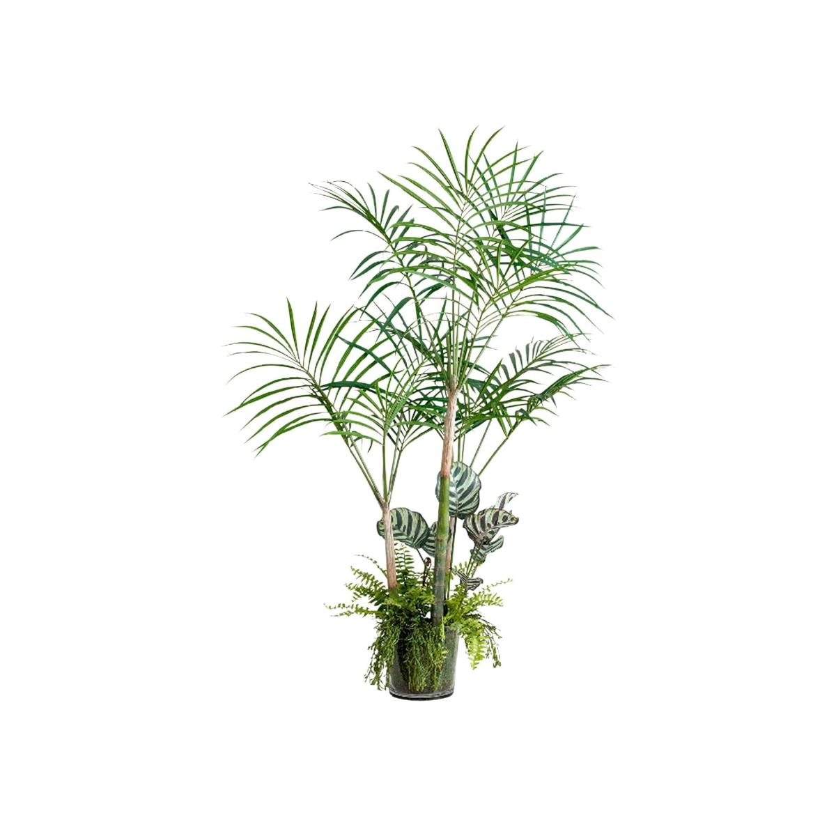 Artificial Large Mixed Palm, Fern and Zebra Plant Arrangement in Vase - Green