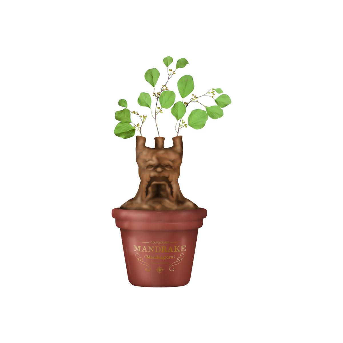 Harry Potter Table Top Vase, Mandrake - Brown – image 1