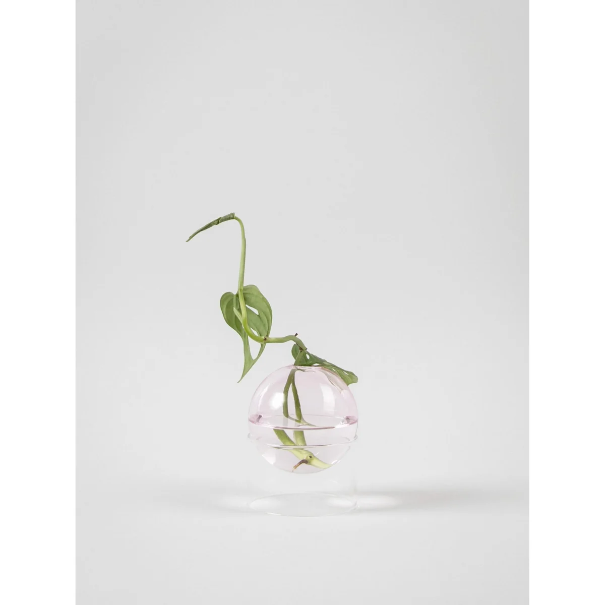 Vase Bubble, H 10 cm – image 2