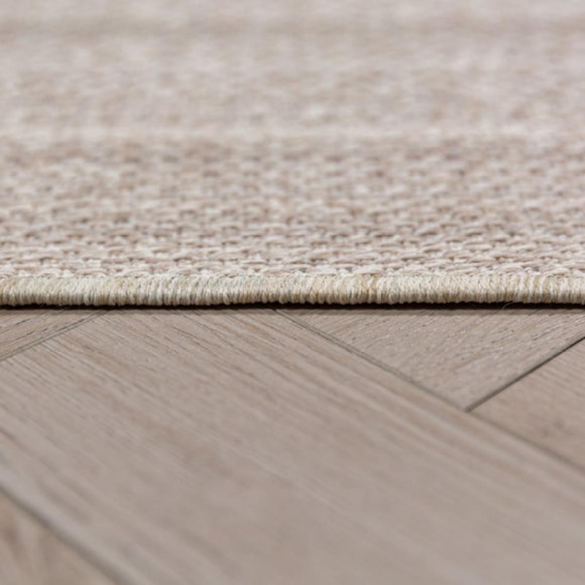Reid Runner – image 5