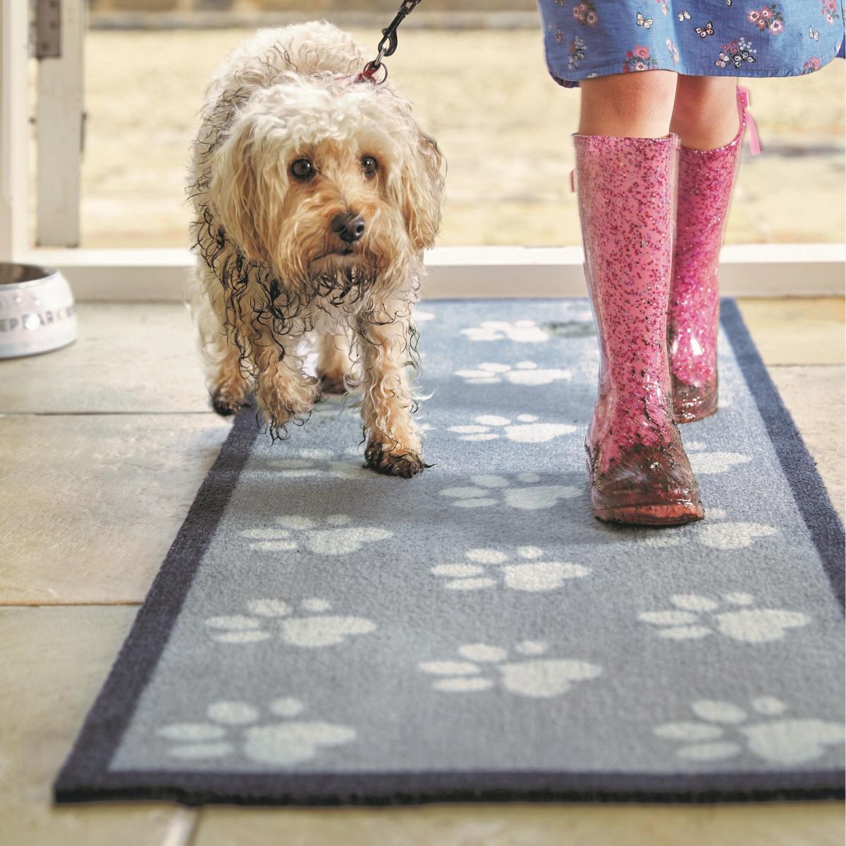 Howler & Scratch Big Paws Runner 1 in Grey – image 1