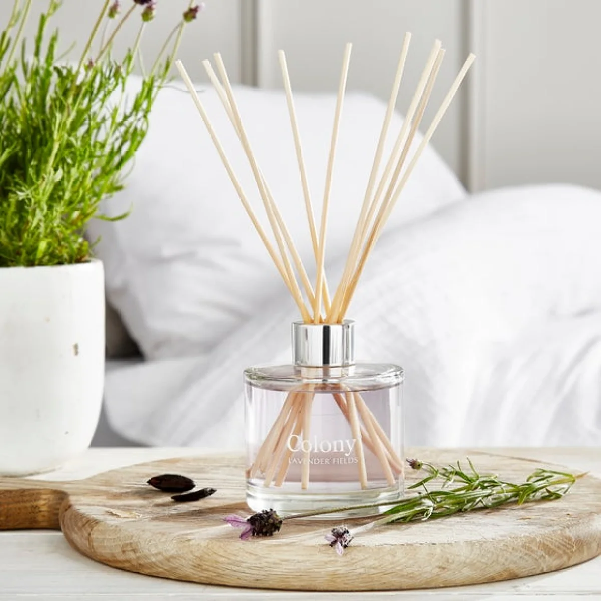Colony Lavender Fields Diffuser Purple – image 1