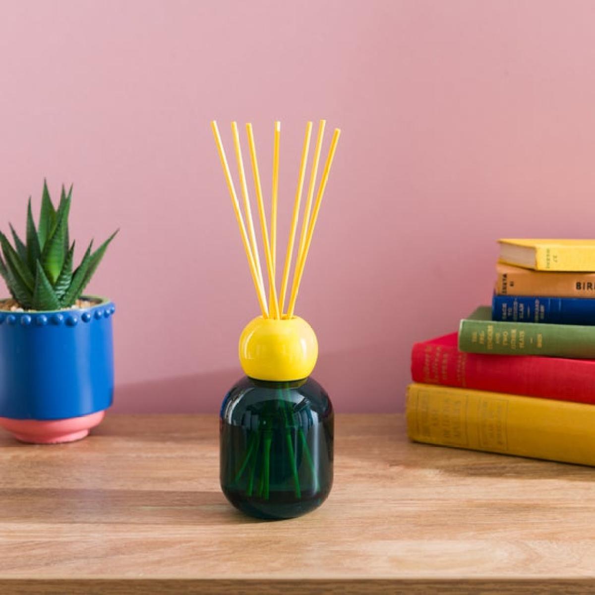 Elements Grapefruit & Wild Mint Diffuser – image 1