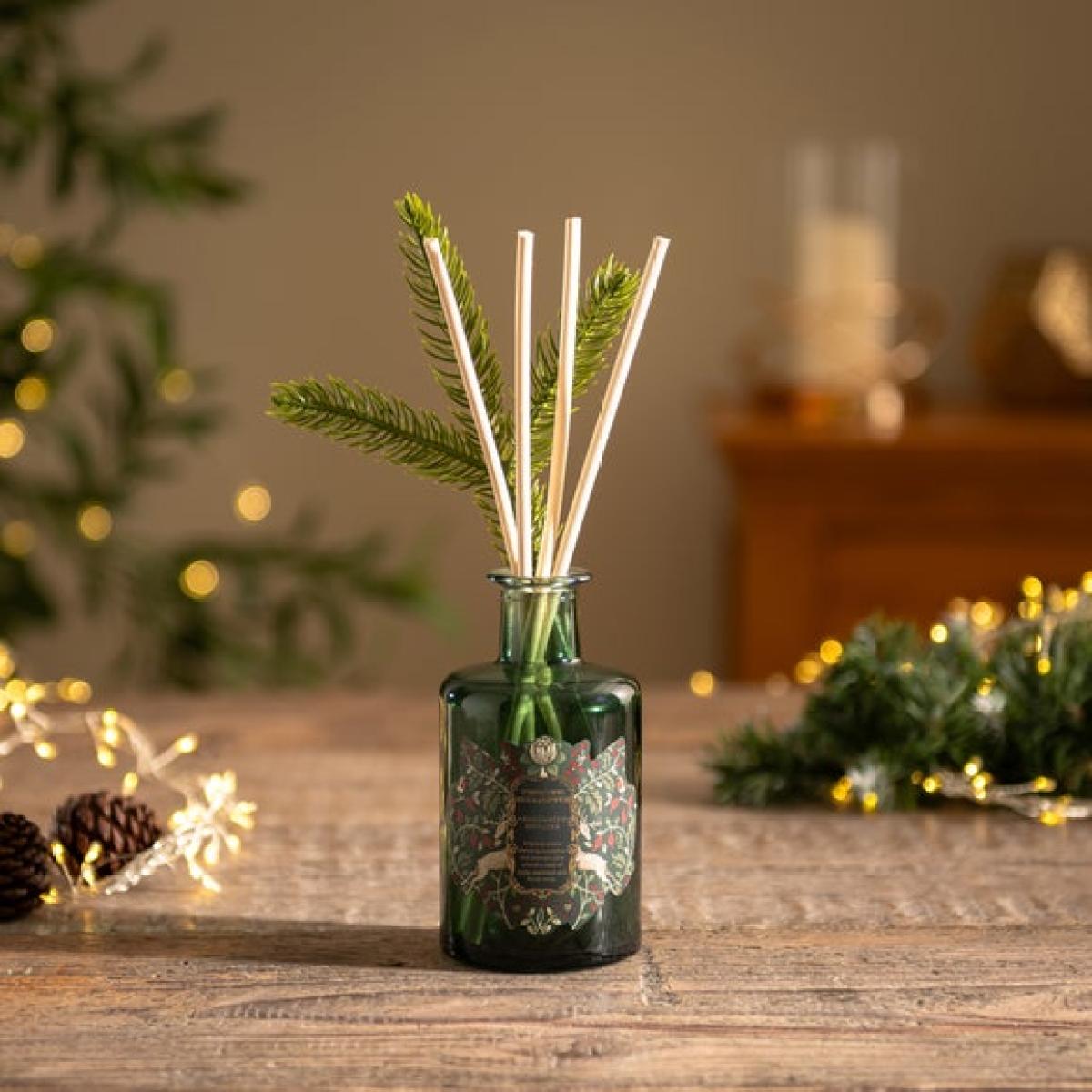 Festive Frosted Eucalyptus Diffuser – image 1