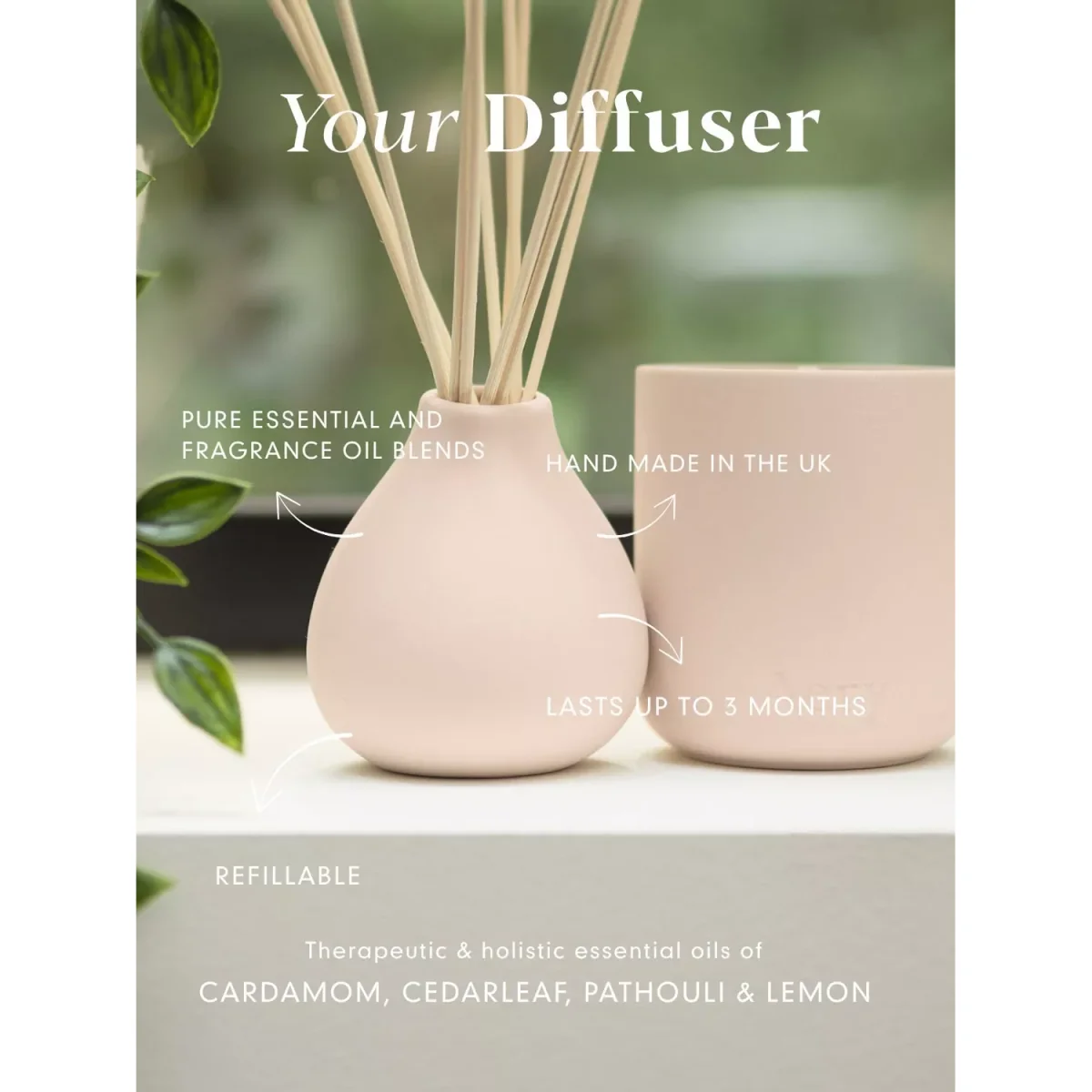 Aery Himalayan Cedarleaf Reed Diffuser, 200ml – image 4