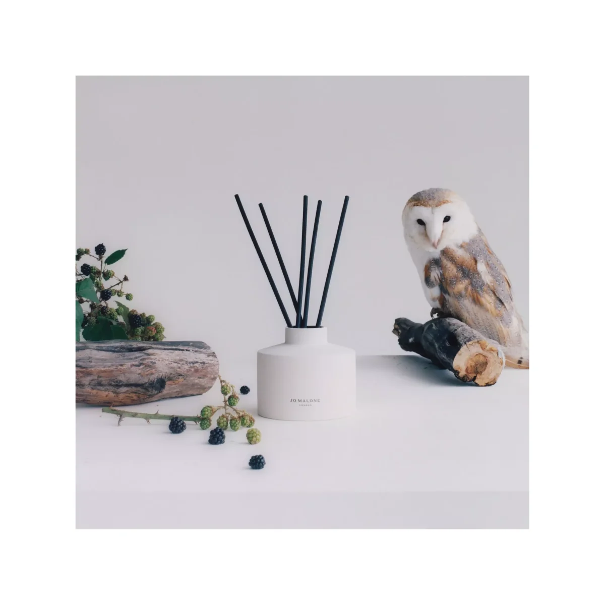 Jo Malone London Wild Berry & Bramble Diffuser + Refill, 350ml – image 3