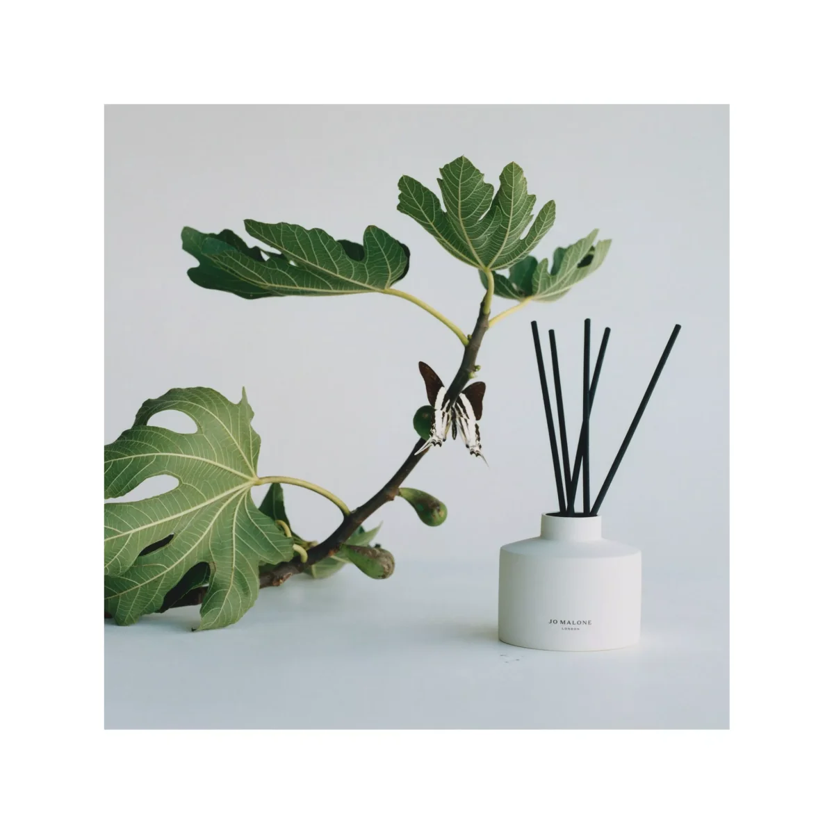 Jo Malone London Fresh Fig & Cassis Diffuser + Refill, 350ml – image 2