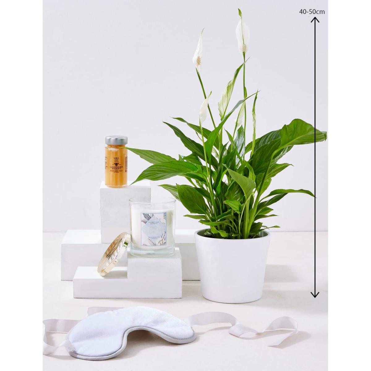 M&S Relax Hamper with Peace Lily Plant – image 4