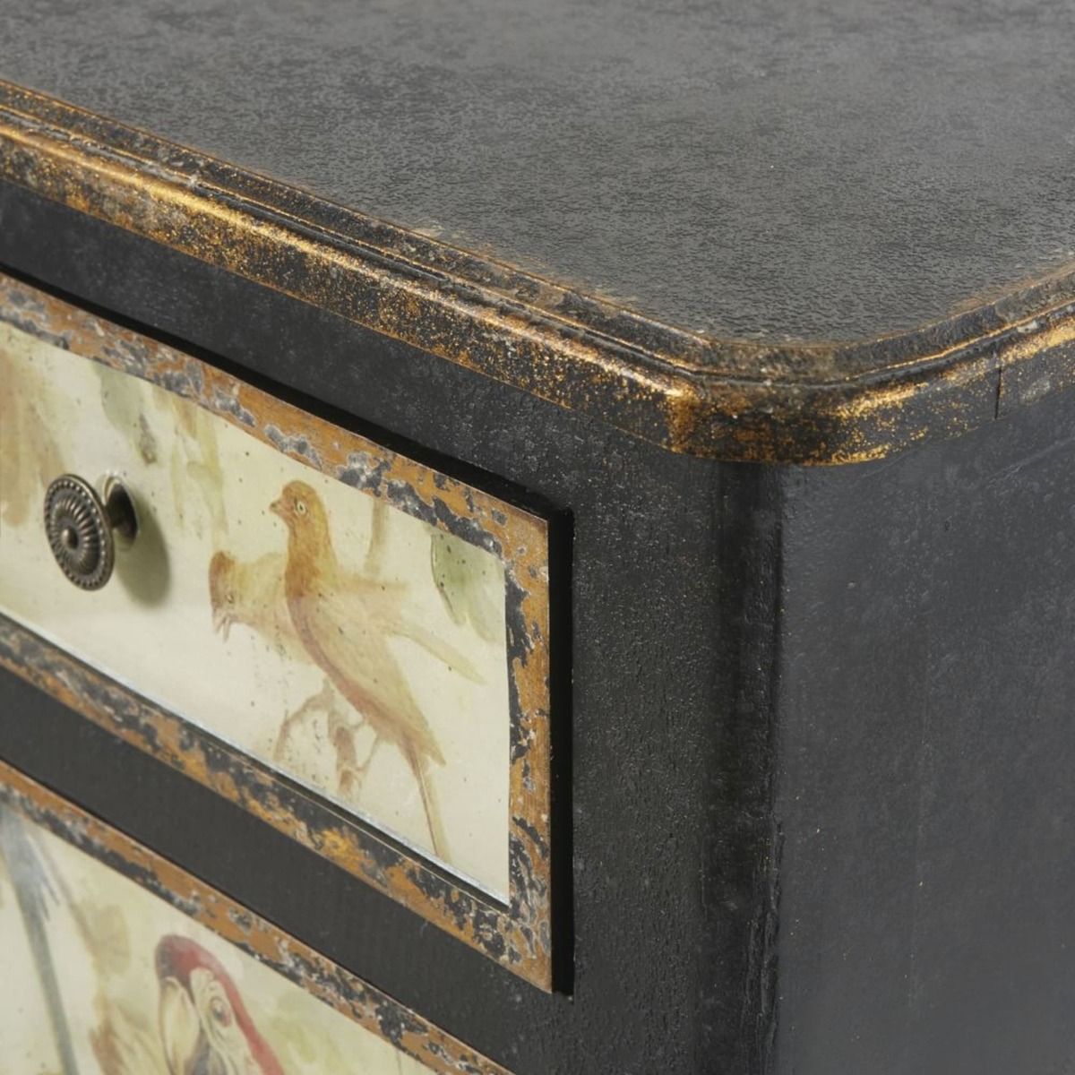 PERROQUET - 2-Door 2-Drawer Sideboard with Parrot Print – image 5