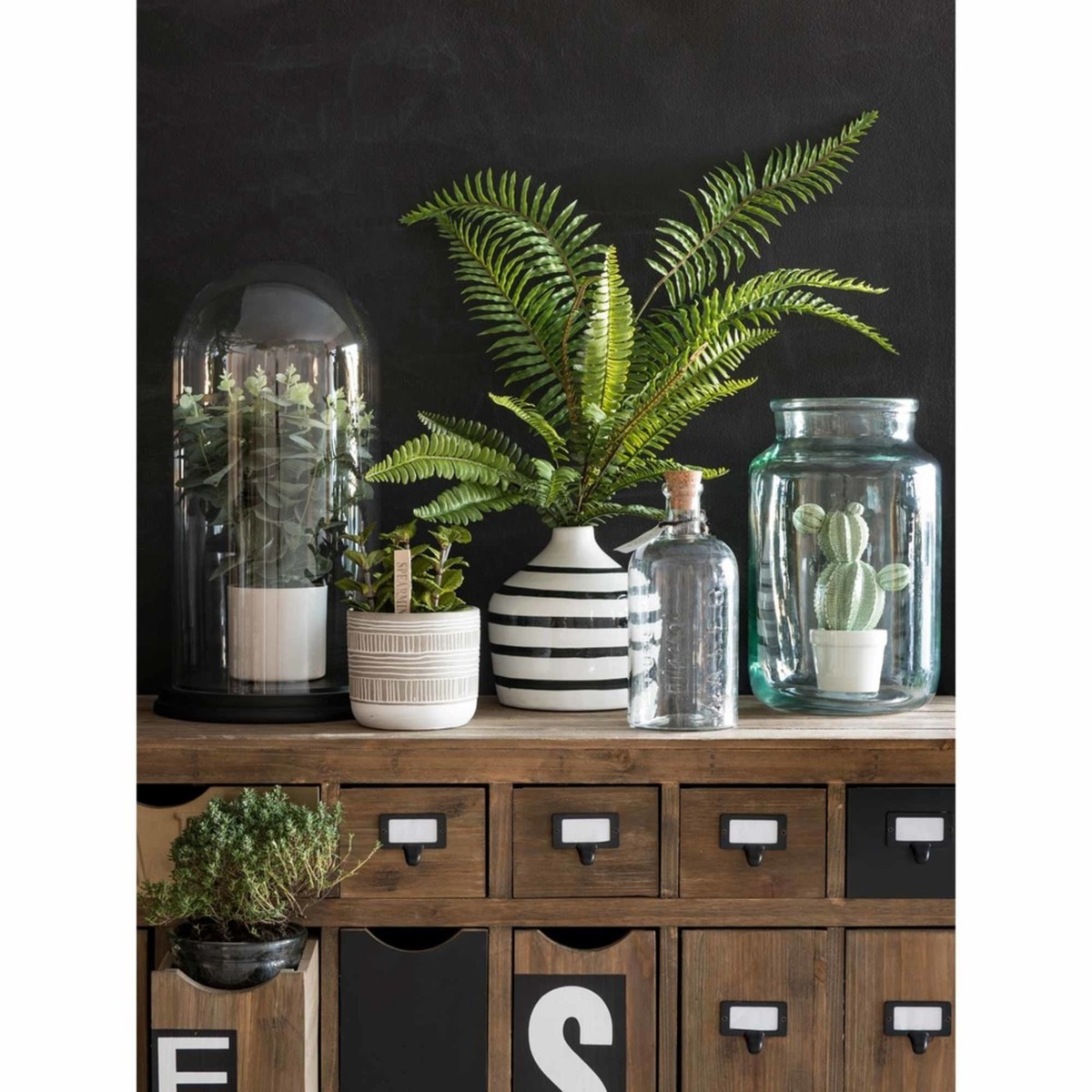 Fir Storage Cabinet News – image 6