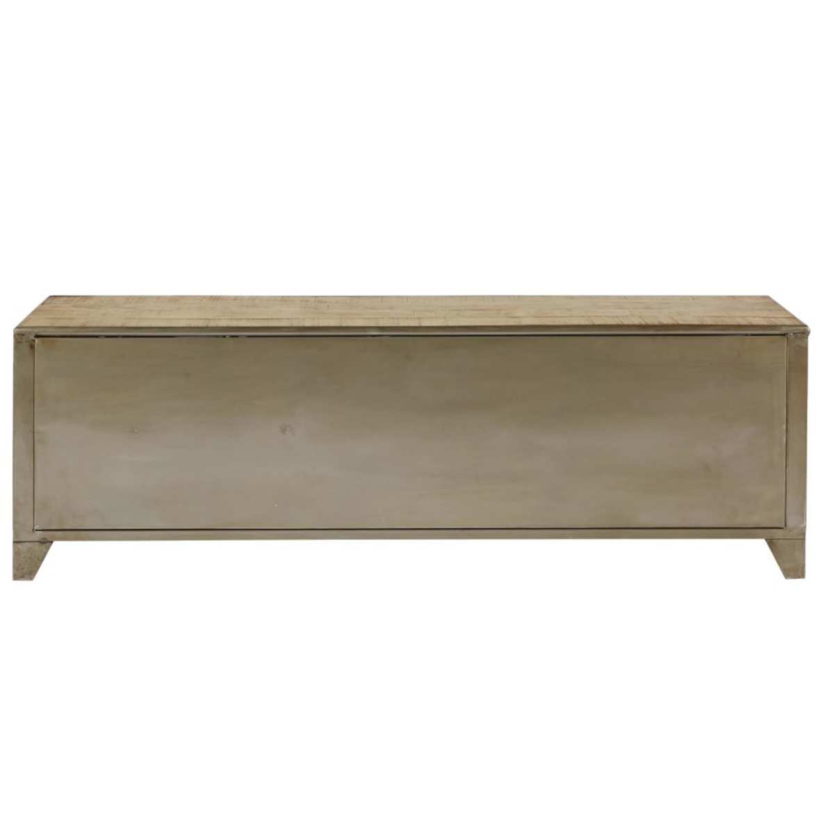 Mango Wood and Metal Industrial 1-Door TV Unit Rydell – image 4
