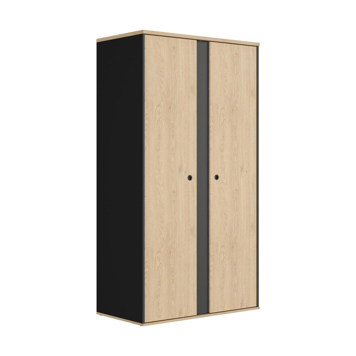Carter 2 Door Wardrobe – image 2