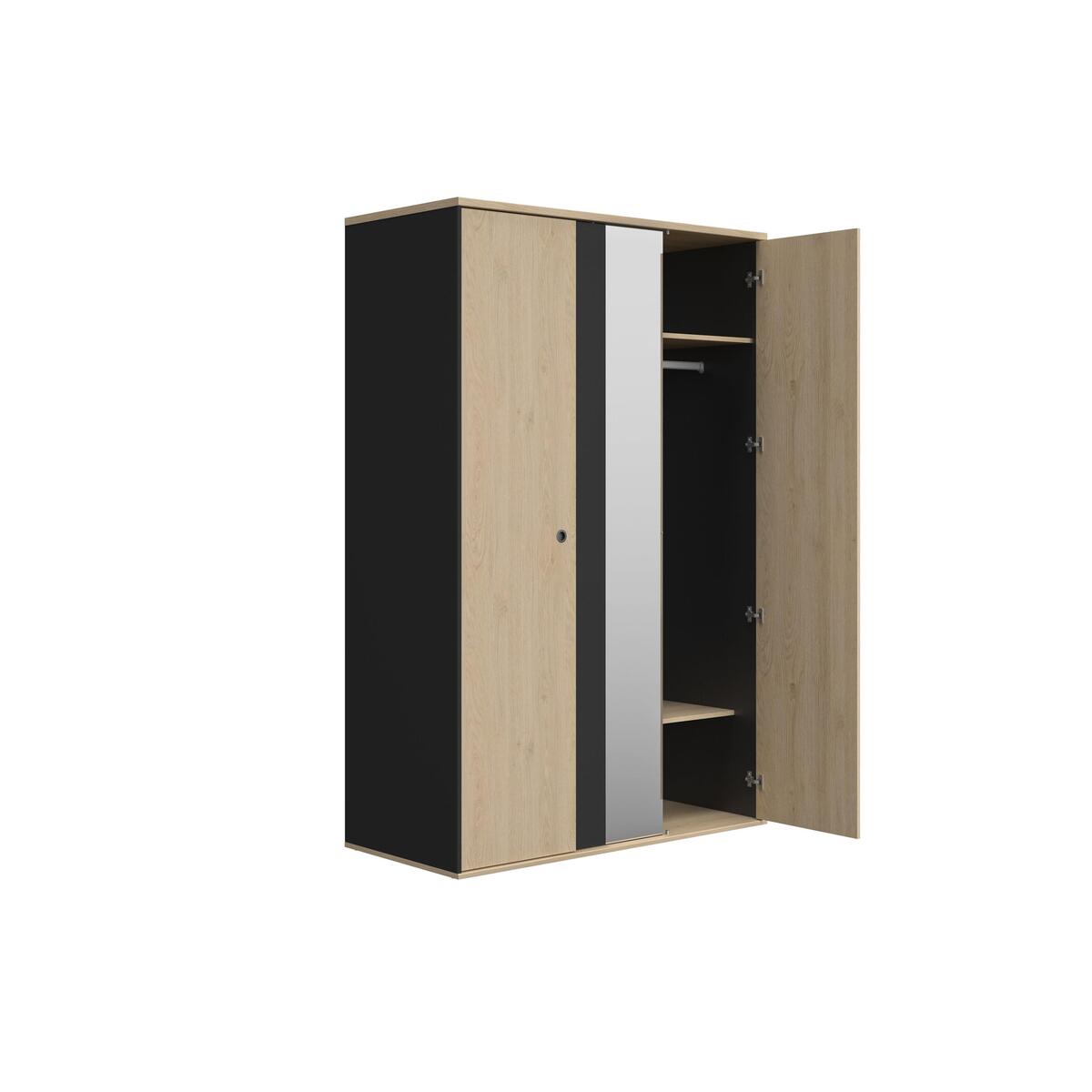 Carter Large 2 Door with Mirror Wardrobe – image 4