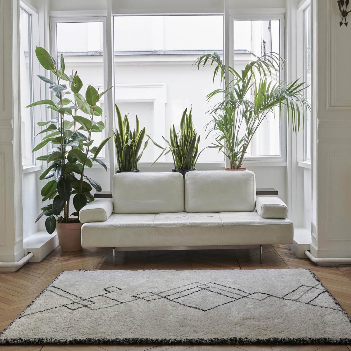 Ardek Rug – image 2