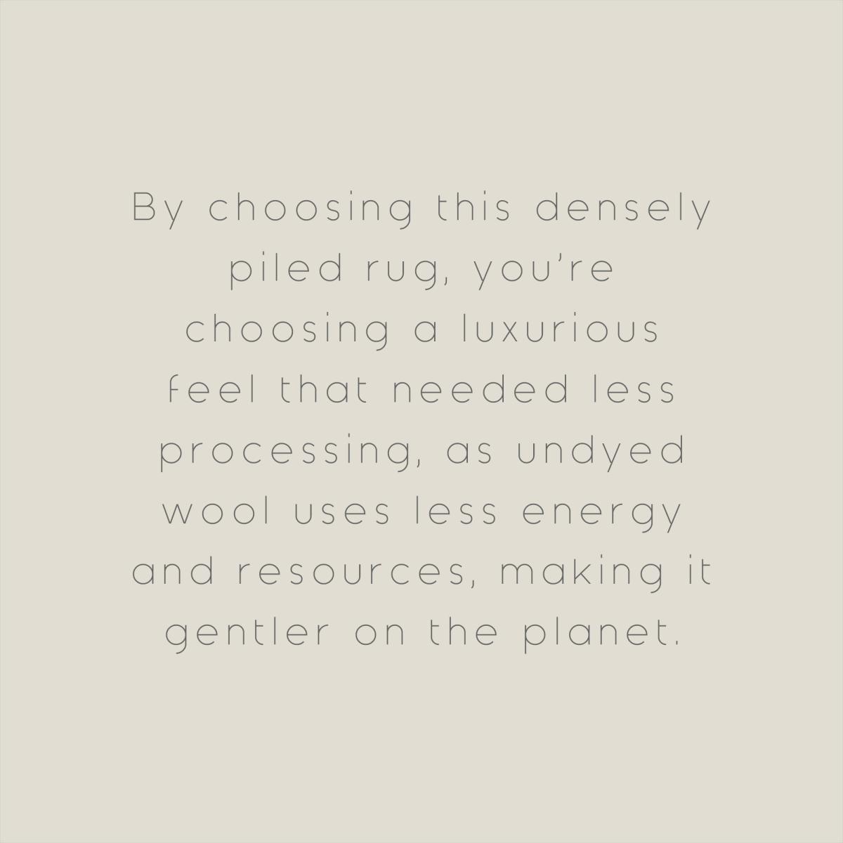Undyed Wool Rug Brown – image 7