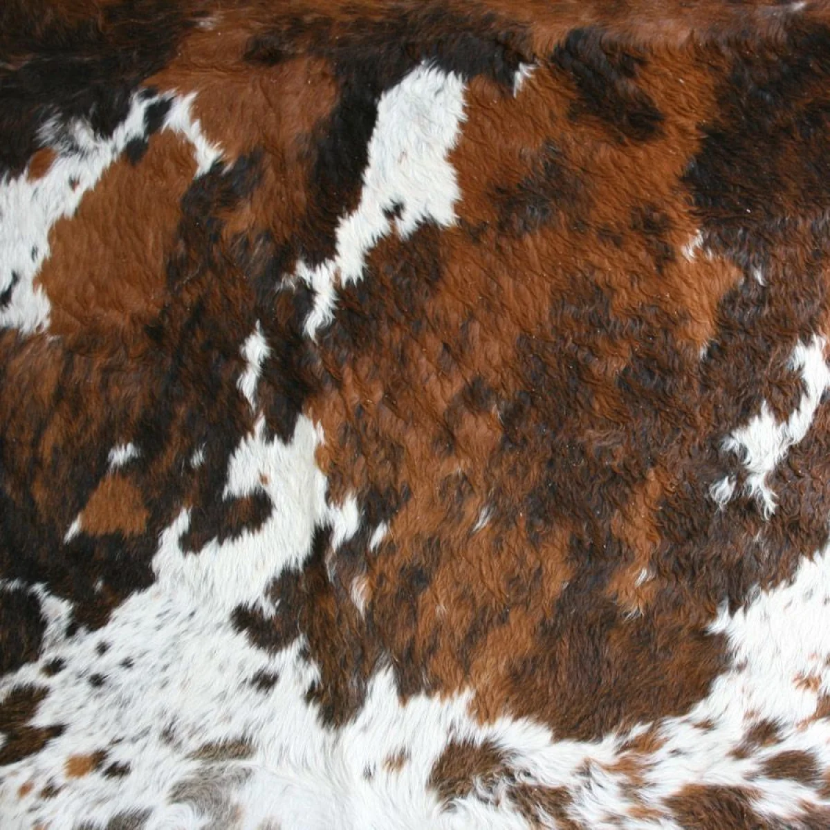 Tri Colour Cowhide Rug – image 2