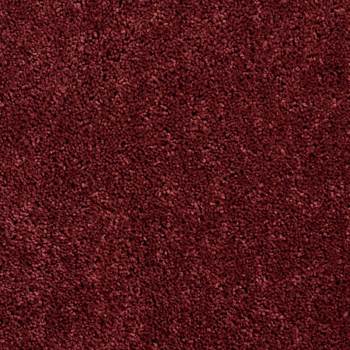 Habitat Noodle Burgundy Rug - 200x290cm – image 3