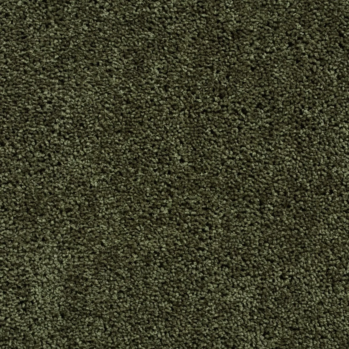 Habitat Noodle Olive Rug - 120x170cm – image 3
