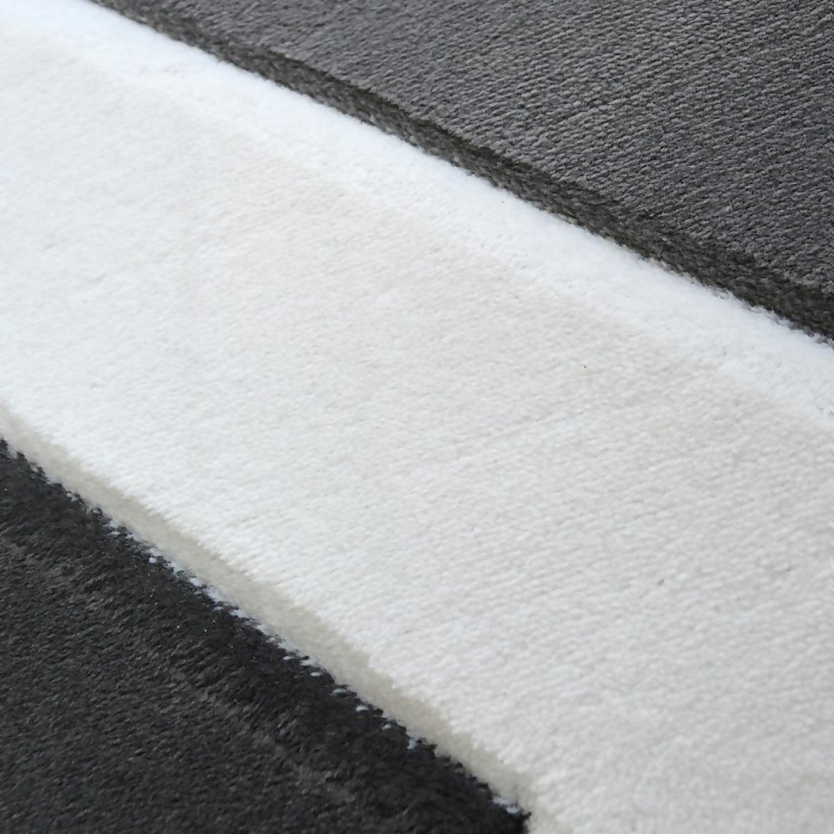 Daytona Zen Rug - Grey - 160x230cm – image 2