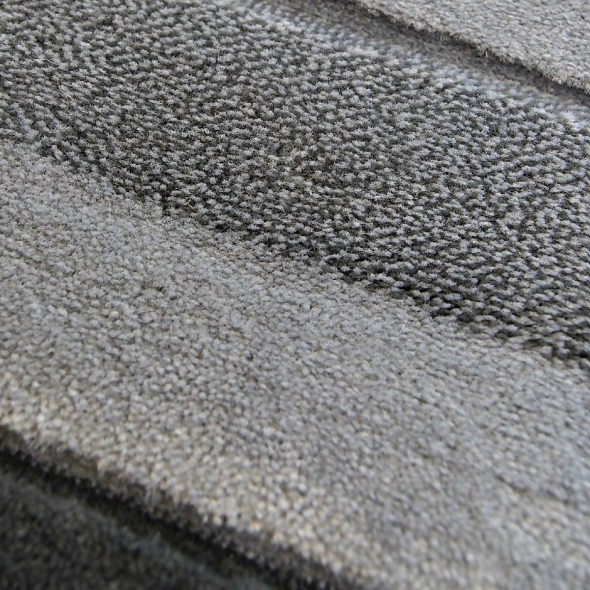 Daytona Border Rug - Grey - 120x170cm – image 3