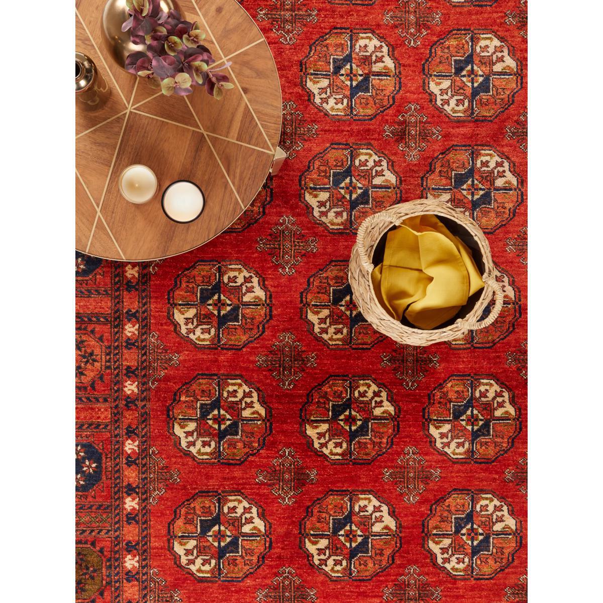 Gooch Luxury Hand Knotted Ersari Rug, Red – image 2