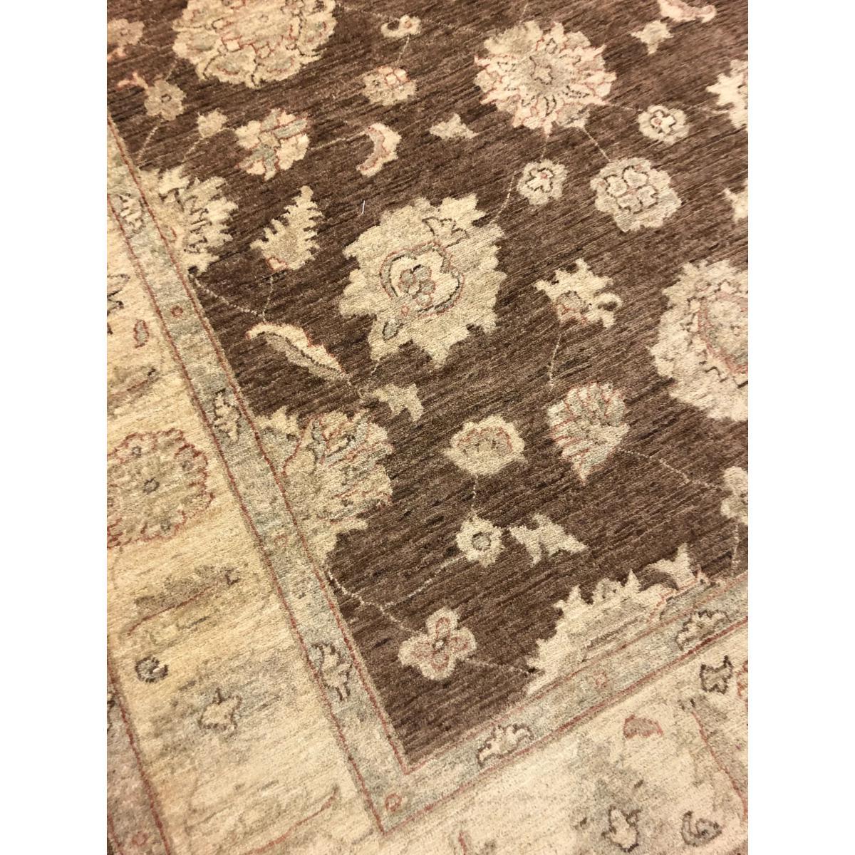 Gooch Oriental Ziegler Rug, Brown, L263 x W178 cm – image 4