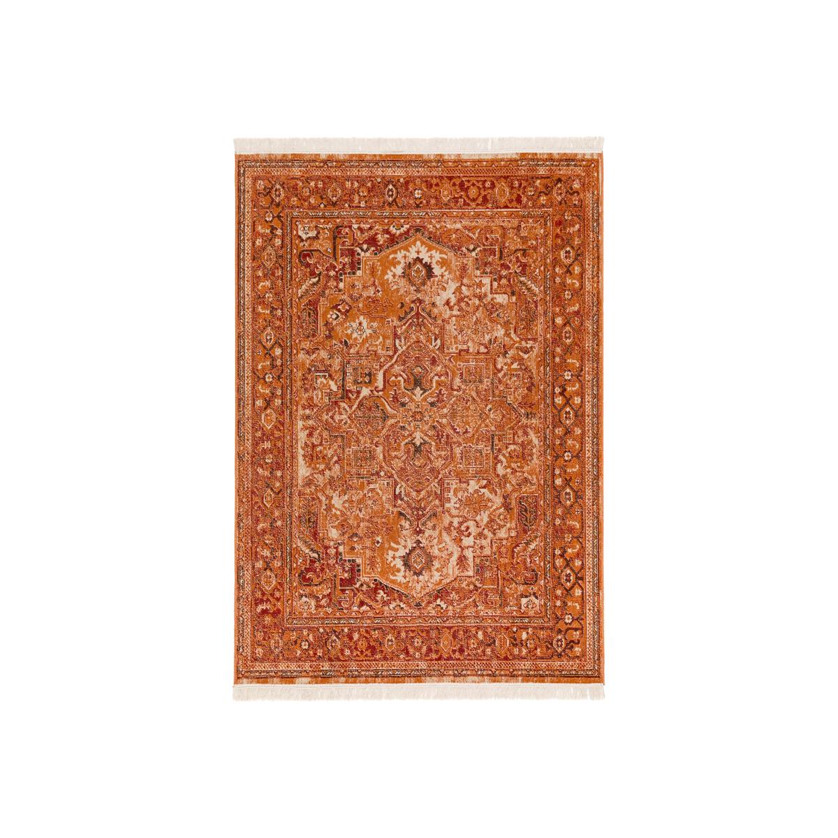 Rabeo Persian Style Cotton Blend Rug – image 1