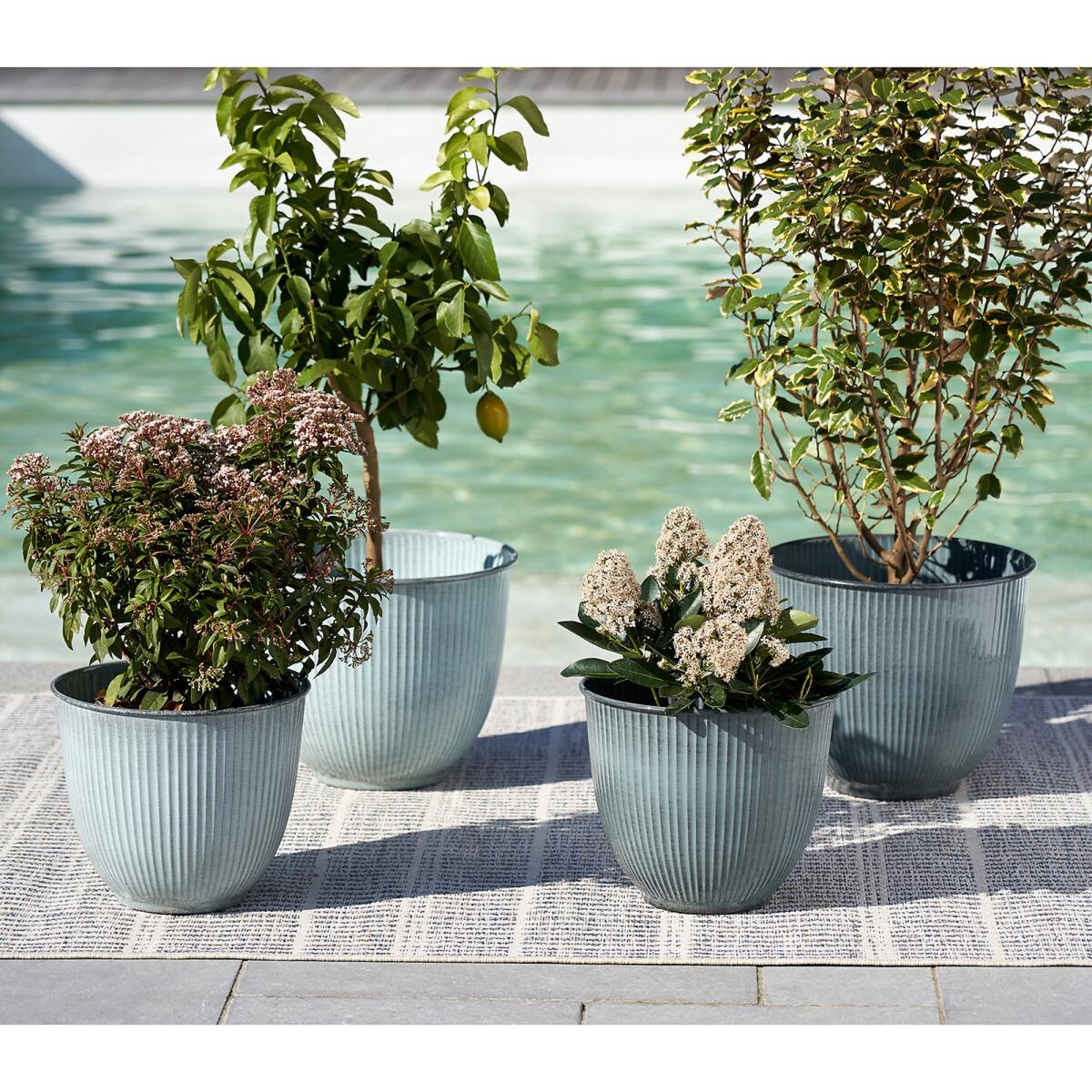 Sully Indoor / Outdoor Rug – image 2