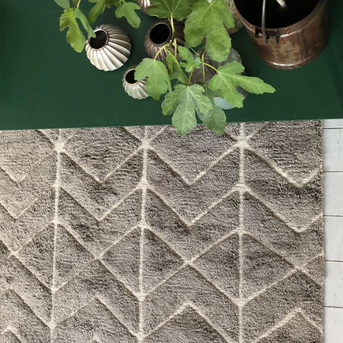 Classic Collection Soho rug Beige 200x300 cm – image 4