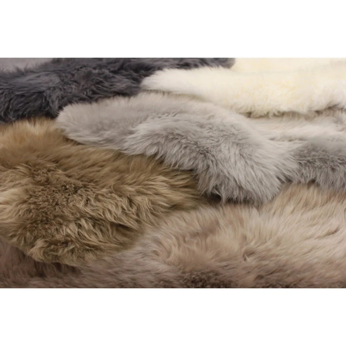 Asiatic Carpets Sheepskin Hand Finished Rug Single Taupe - 60 x 90cm – image 2