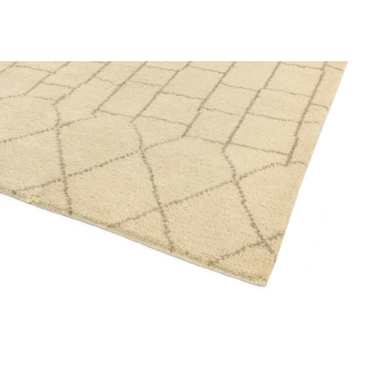 Asiatic Carpets Amira Hand Knotted Rug AM05 - 160 x 230cm – image 3