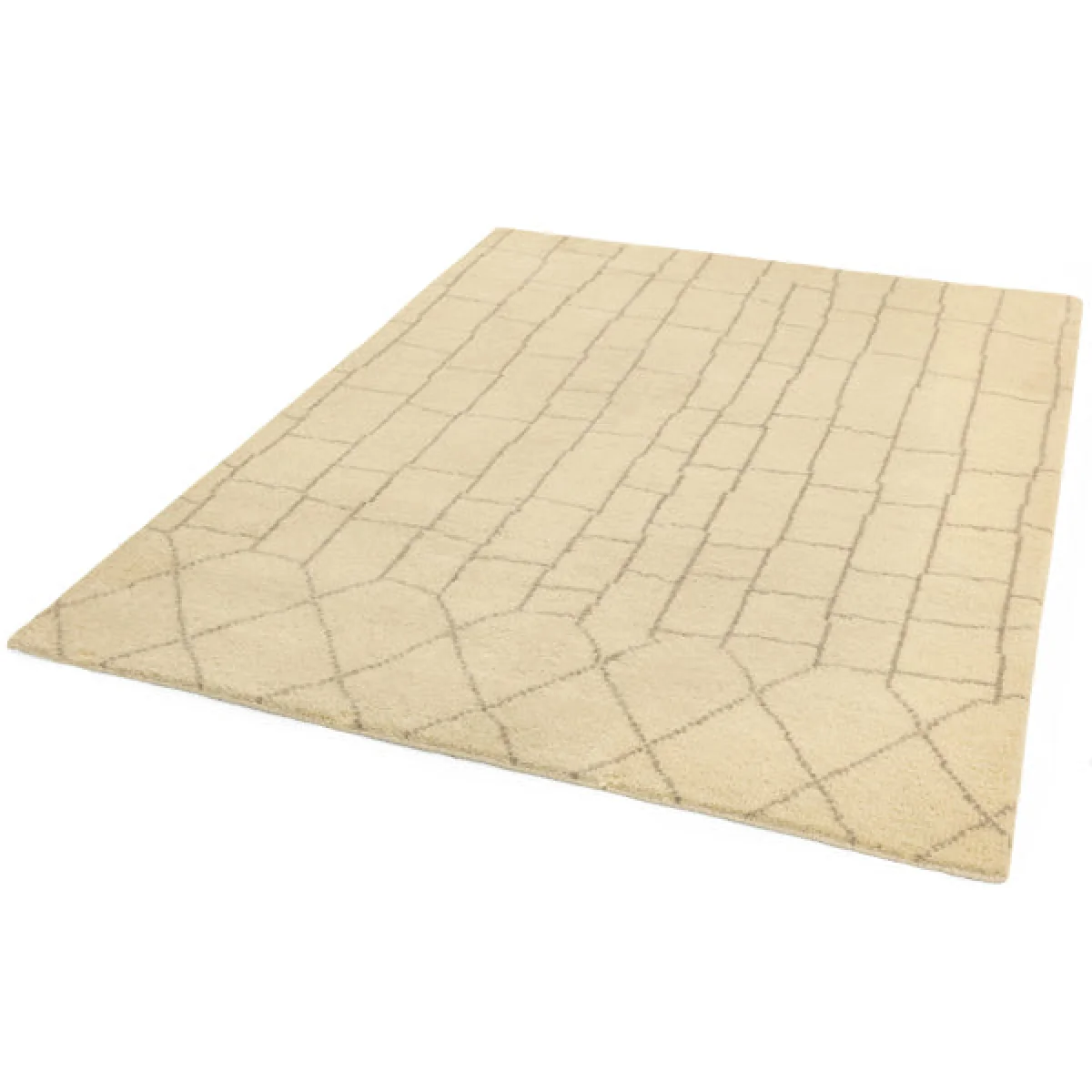 Asiatic Carpets Amira Hand Knotted Rug AM05 - 160 x 230cm – image 4
