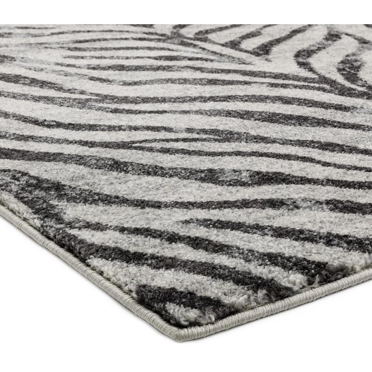 Asiatic Nova NV27 Zebra Rug - Grey - 160cm x 230cm – image 6