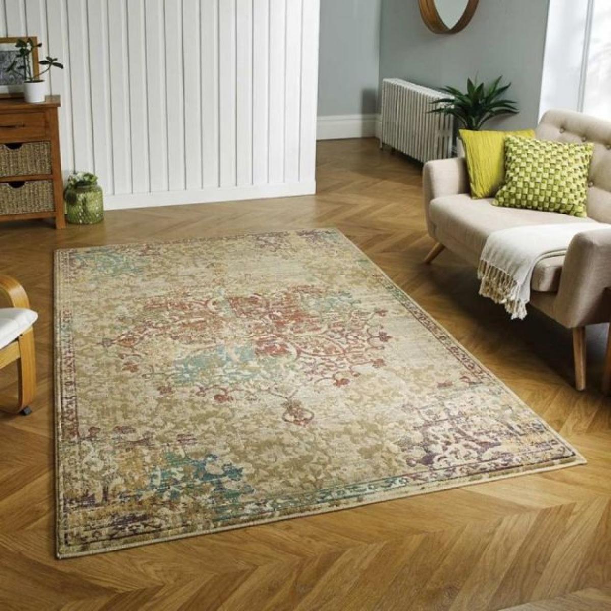 Oriental Weavers Florenza 2069 Y Rug