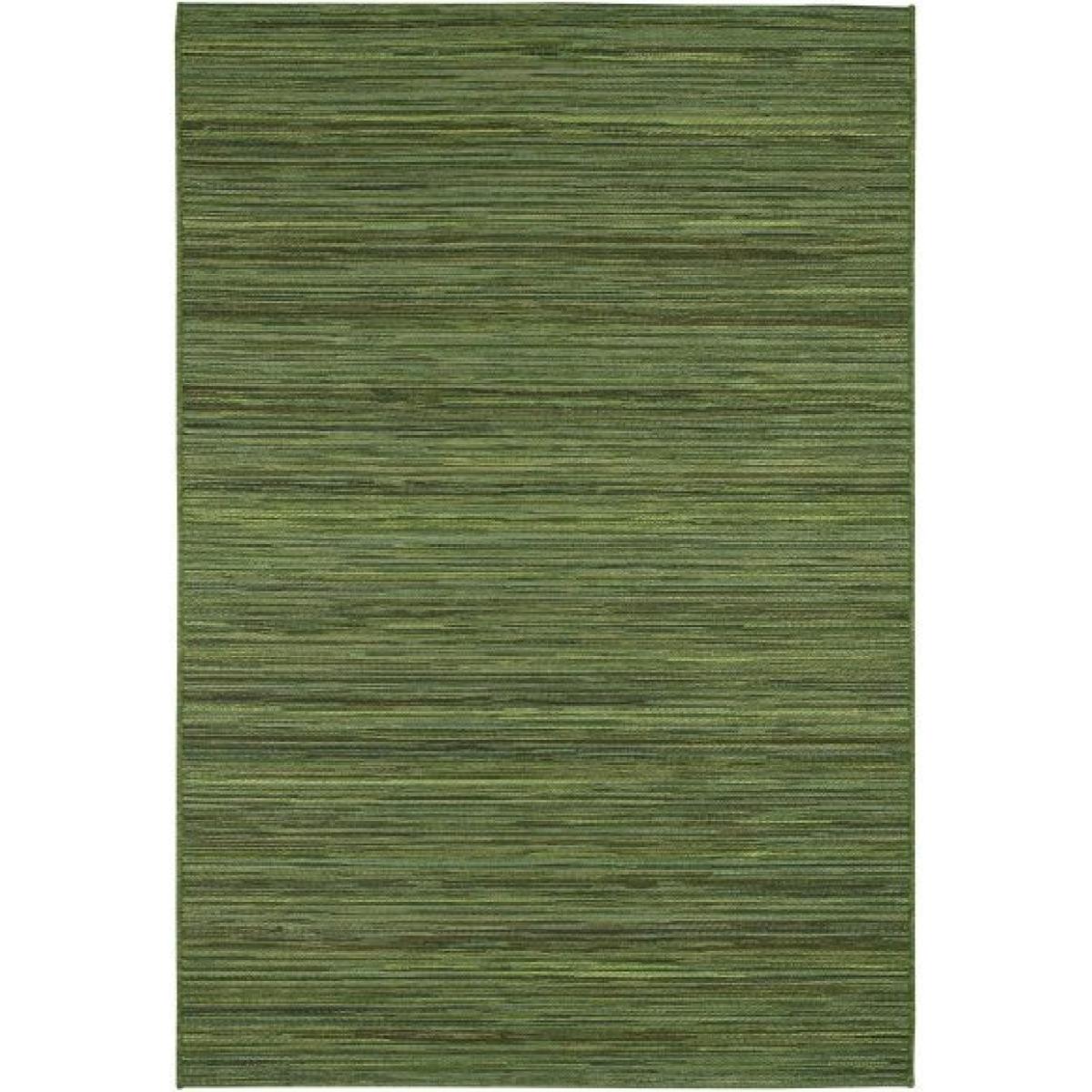Mastercraft 098-0122-4000-99 Brighton Indoor/Outdoor Rug - Green - 200cm x 290cm – image 2