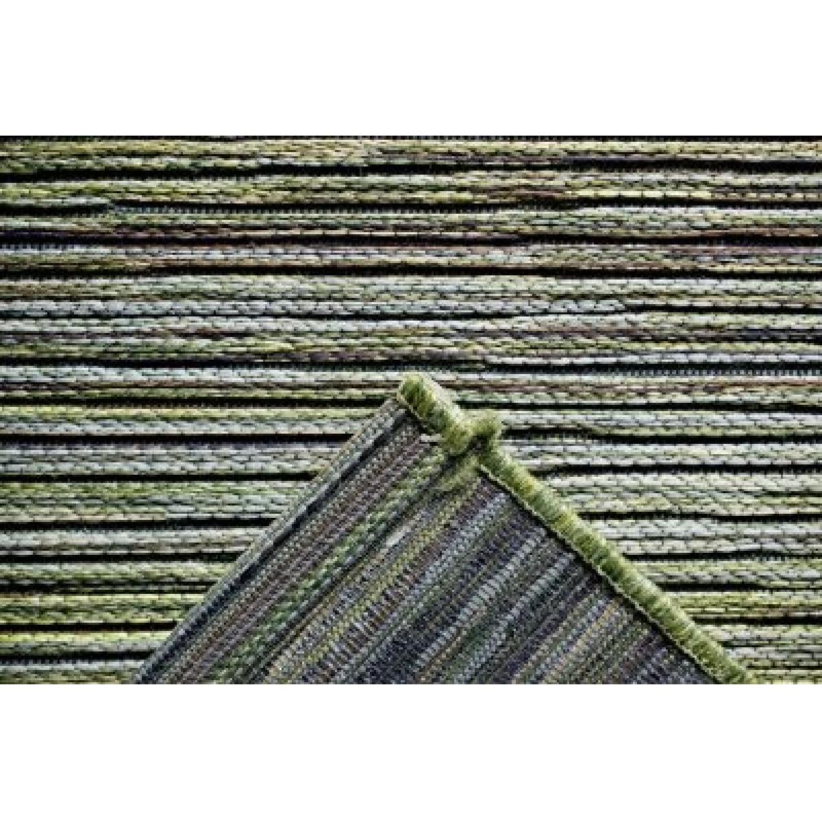 Mastercraft 098-0122-4000-99 Brighton Indoor/Outdoor Rug - Green - 200cm x 290cm – image 5