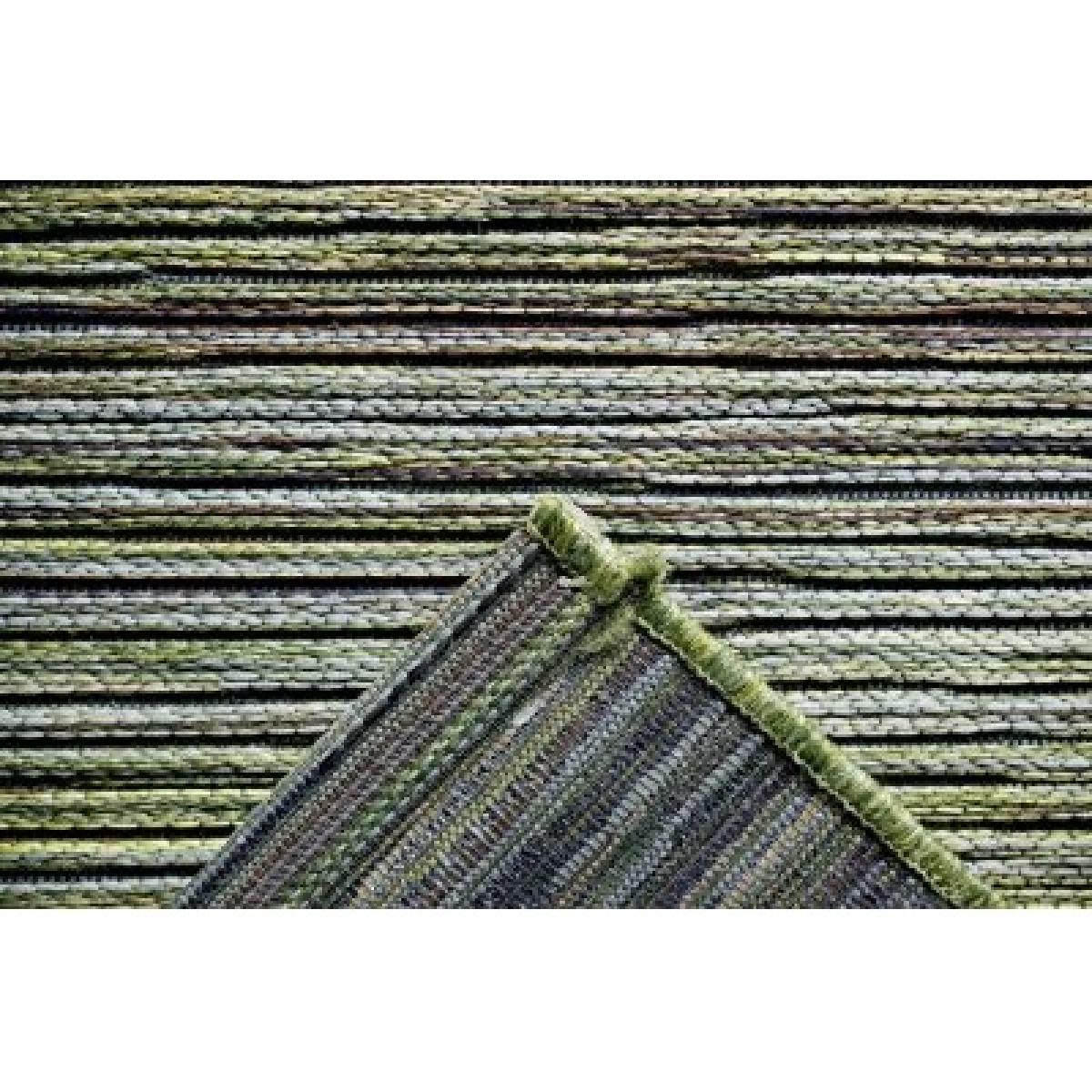Mastercraft 098-0122-4000-99 Brighton Indoor/Outdoor Rug - Green - 200cm x 290cm – image 10