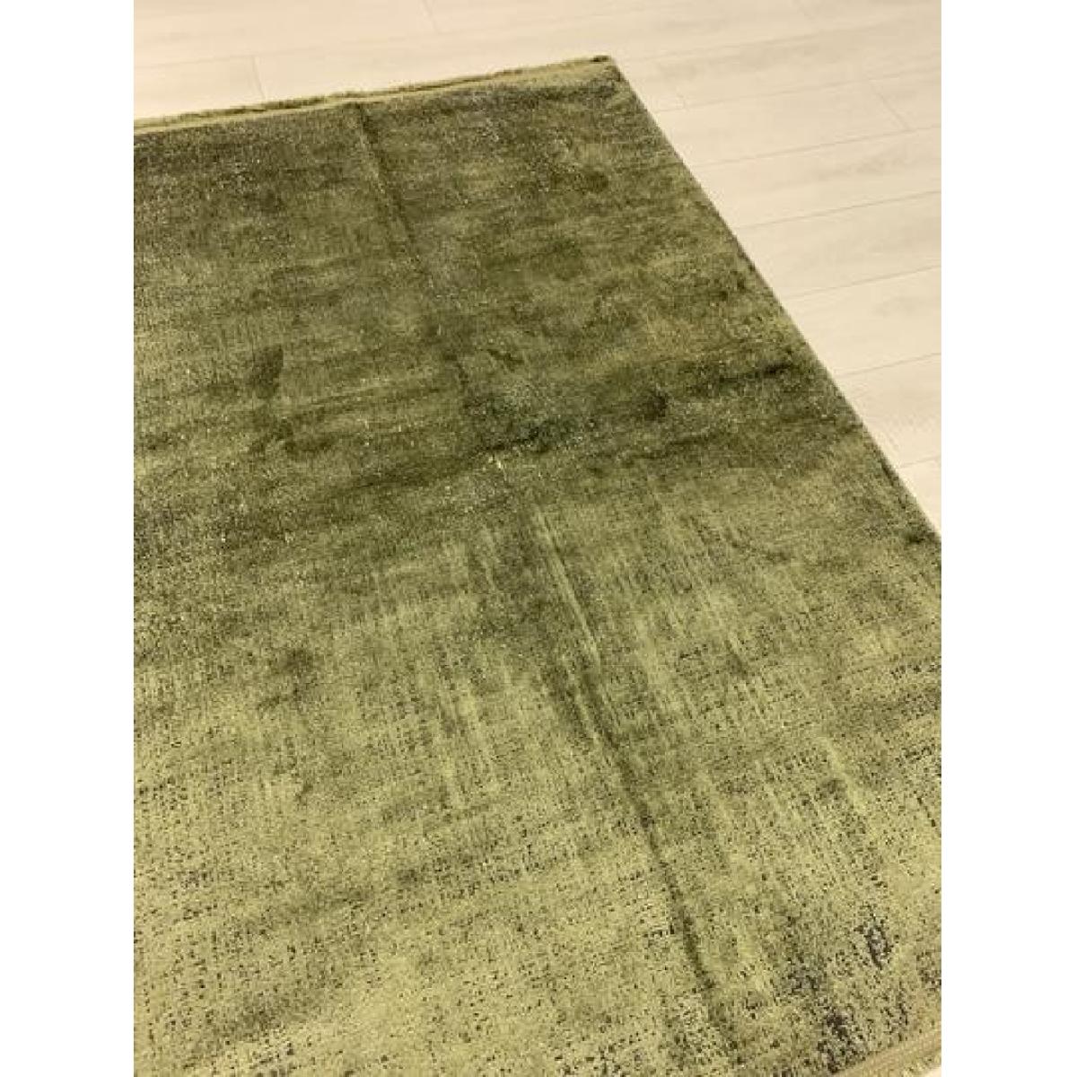 Gooch Oriental Colore Rug Olive – image 3