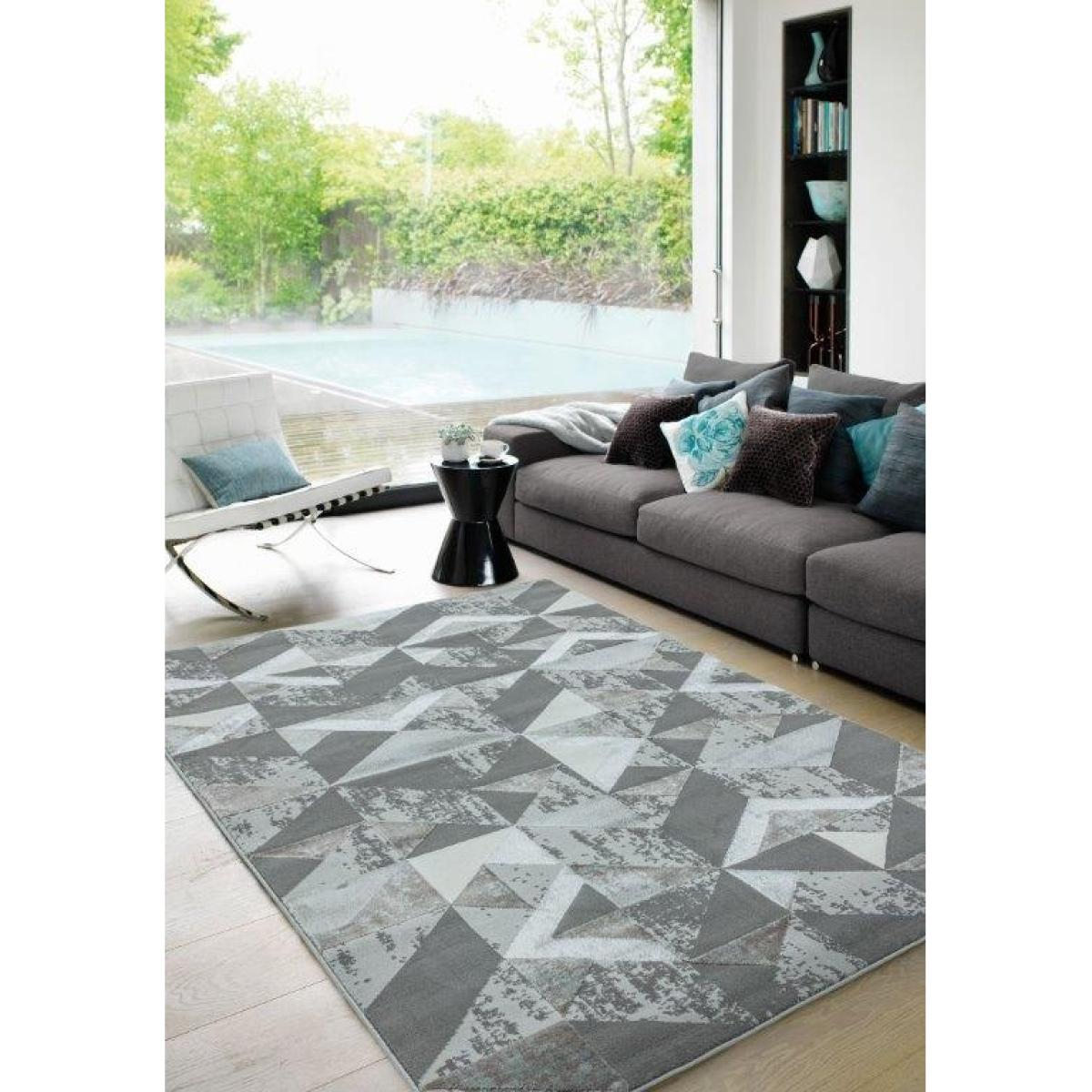 Asiatic Orion Flag OR09 Rug - Silver - 200x290cm, Geometric - Grey/Silver – image 2
