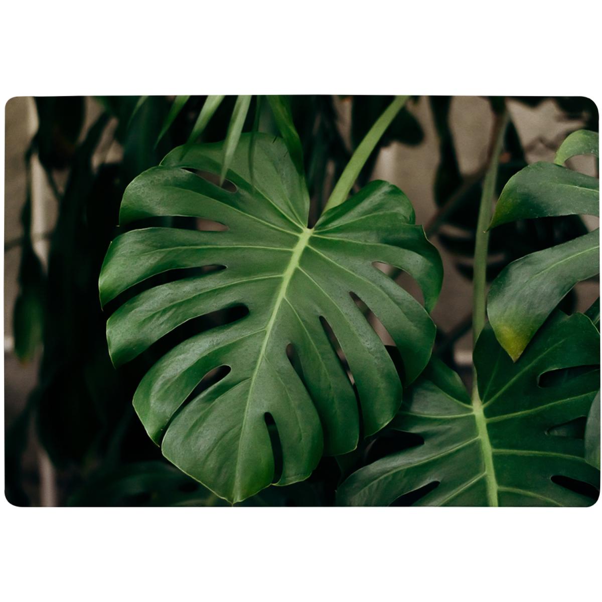 Monstera Leaves In Home Interior Designer Rug - Green / 110cm – image 2
