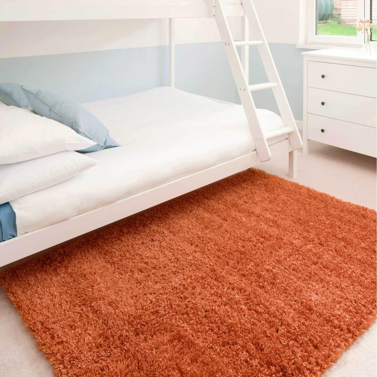 Super Soft Terracotta Orange Shaggy Living Area Rug - Terracotta / 230 x 160cm – image 2
