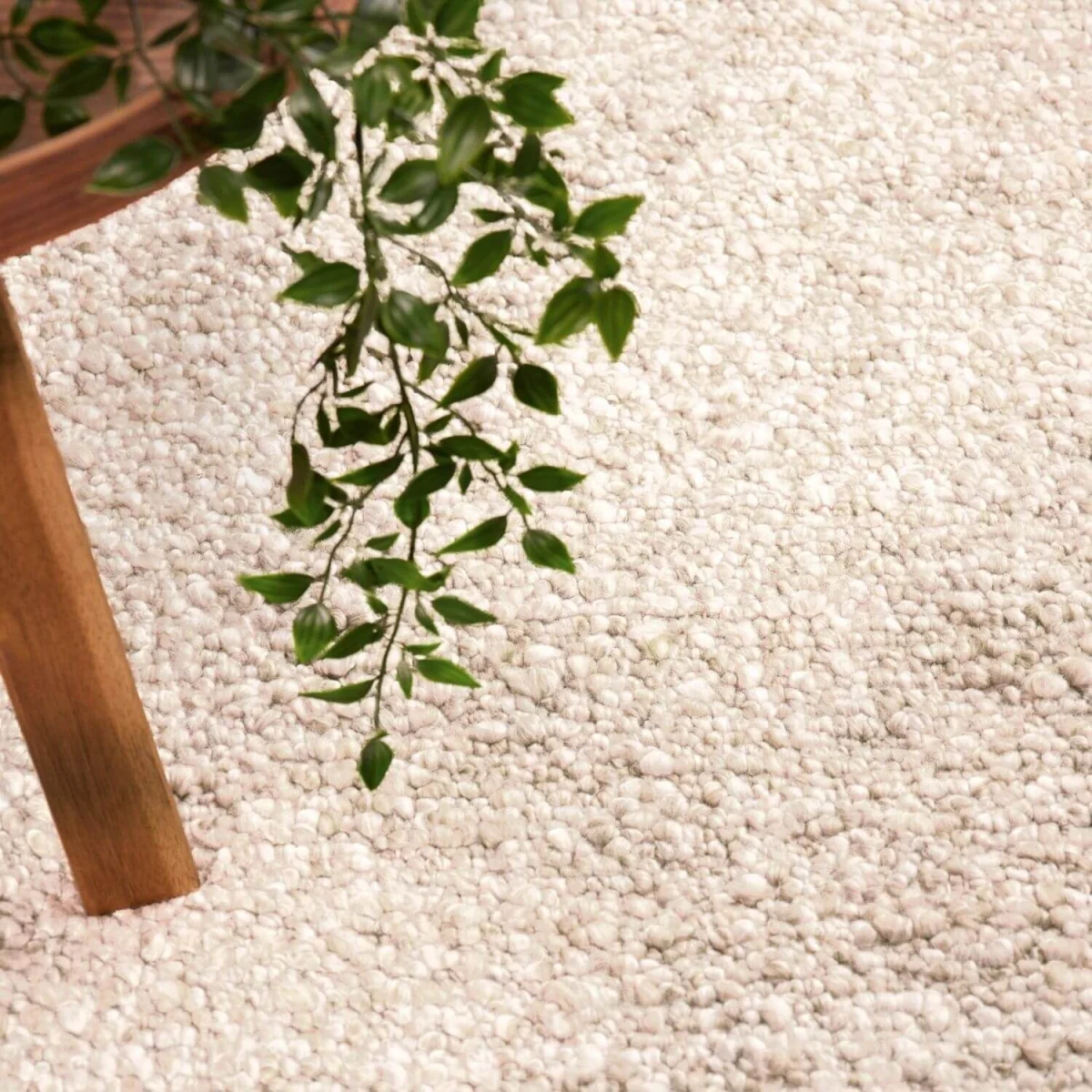 Ted Baker Portobello Soft Short Pile Polyester Rug Cream - Cream / 230.0cm – image 8