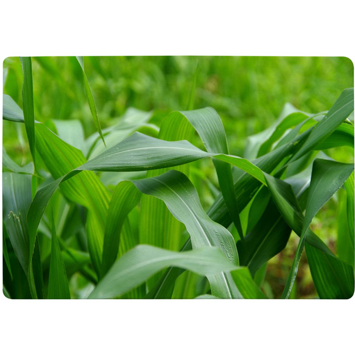 Green Leaves Corn Fields As Background Designer Rug - Green / 110cm – image 2