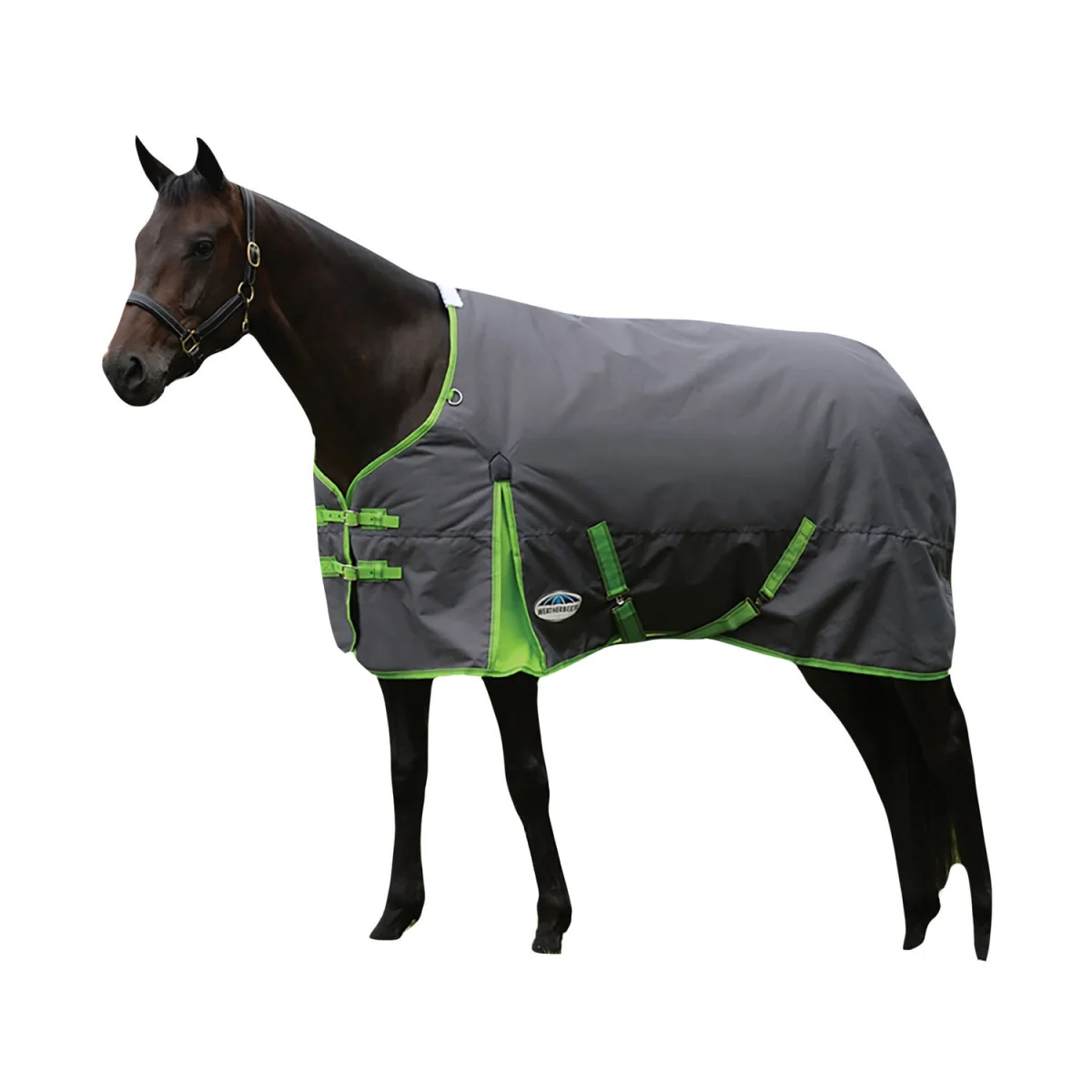 Weatherbeeta Comfitec Essential Standard-Neck Midweight Horse Turnout Rug - Grey/Lime – image 2