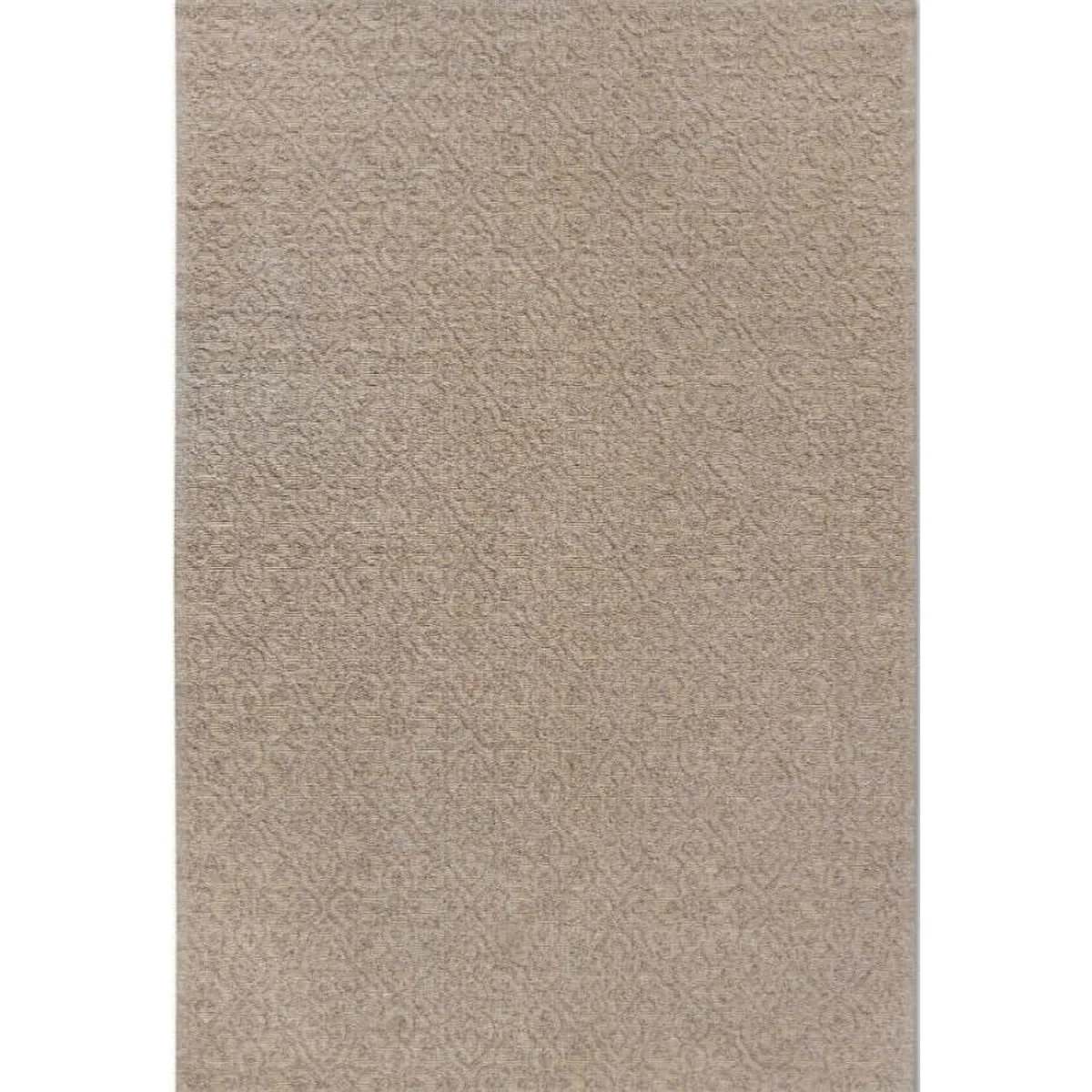 Julia Indoor & Outdoor Rug Beige - Beige – image 2