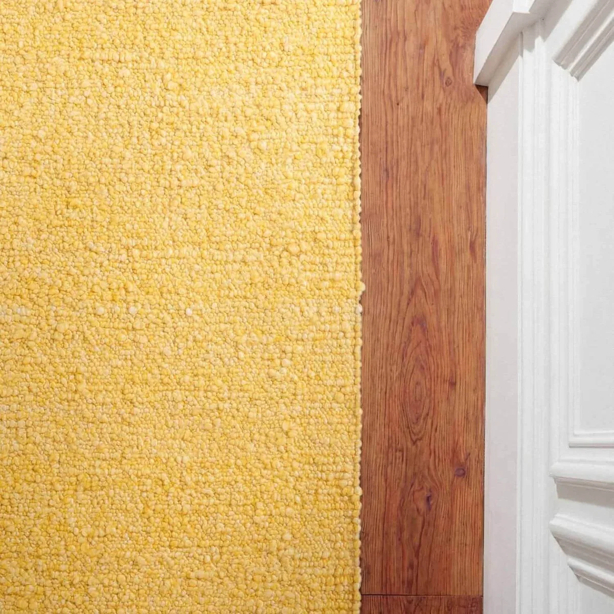 Ted Baker Soft Short Pile Portobello Polyester Plain Rug Yellow - Yellow / 230.0cm – image 12